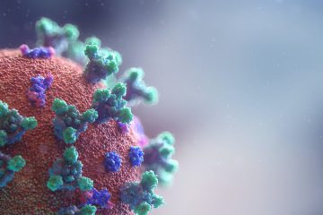 moratoria de hipotecas por coronavirus