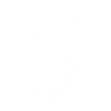 Símbolo dolar